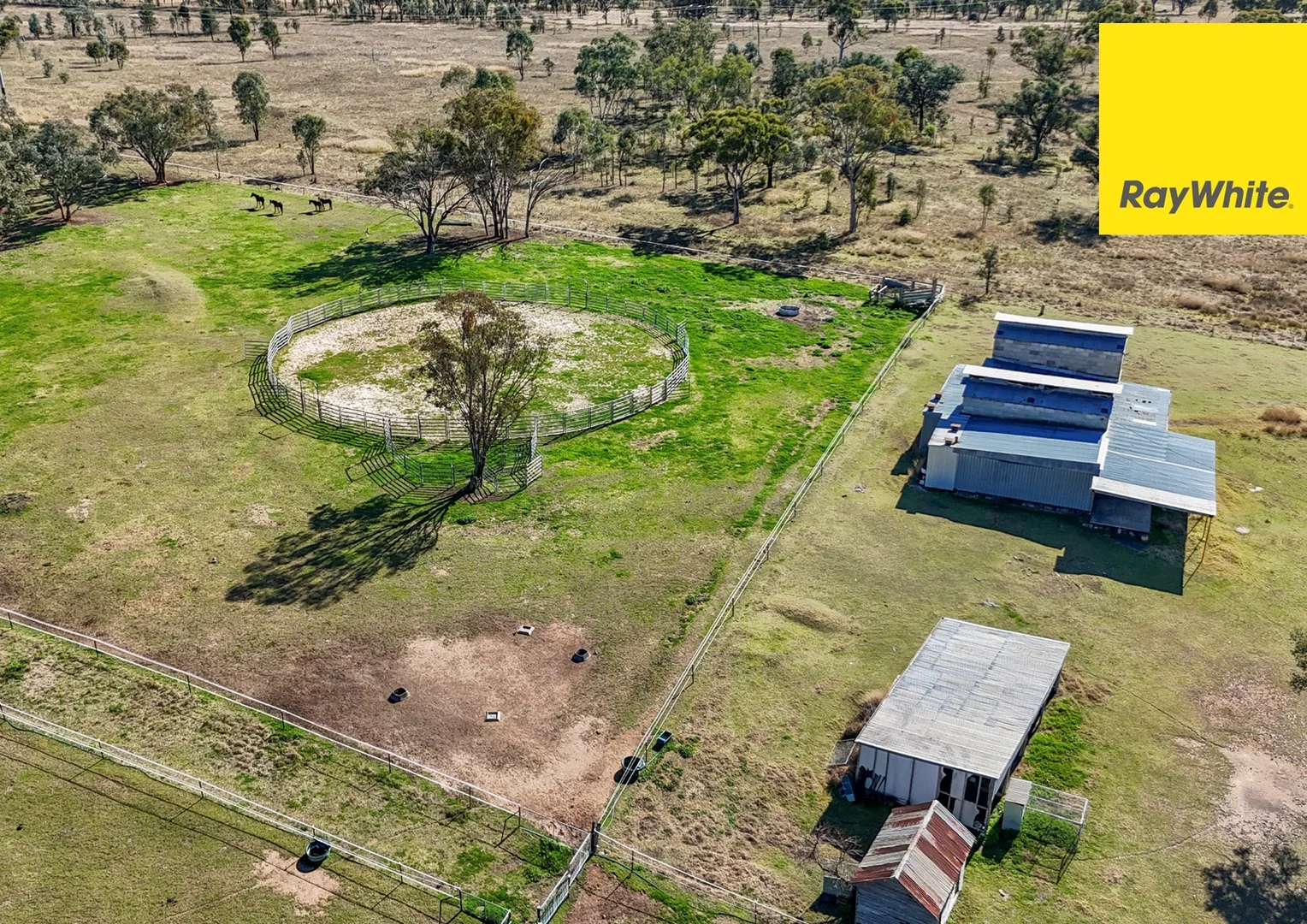 Additional image 14 of 103 Inverell Street, Ashford NSW 2361