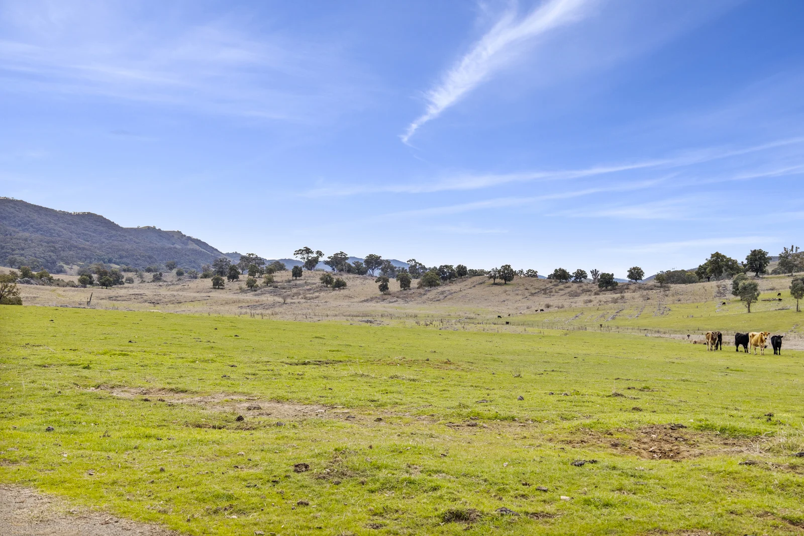 Additional image 23 of 245 Caves Road, Wee Jasper NSW 2582