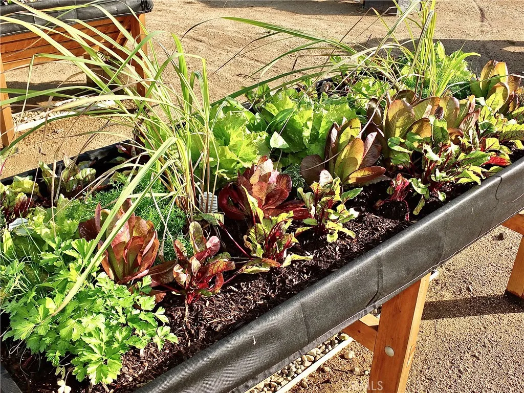 Additional image 52 of 1560 Homewood Road Unit 114-L, Seal Beach, CA 90740