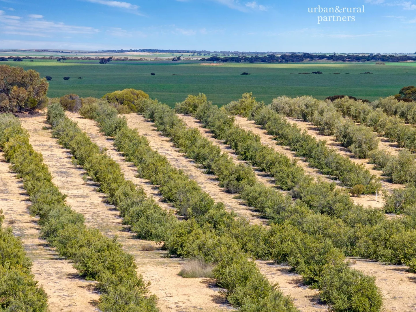 Additional image 16 of 1575 Kringin Road, Karte SA 5304