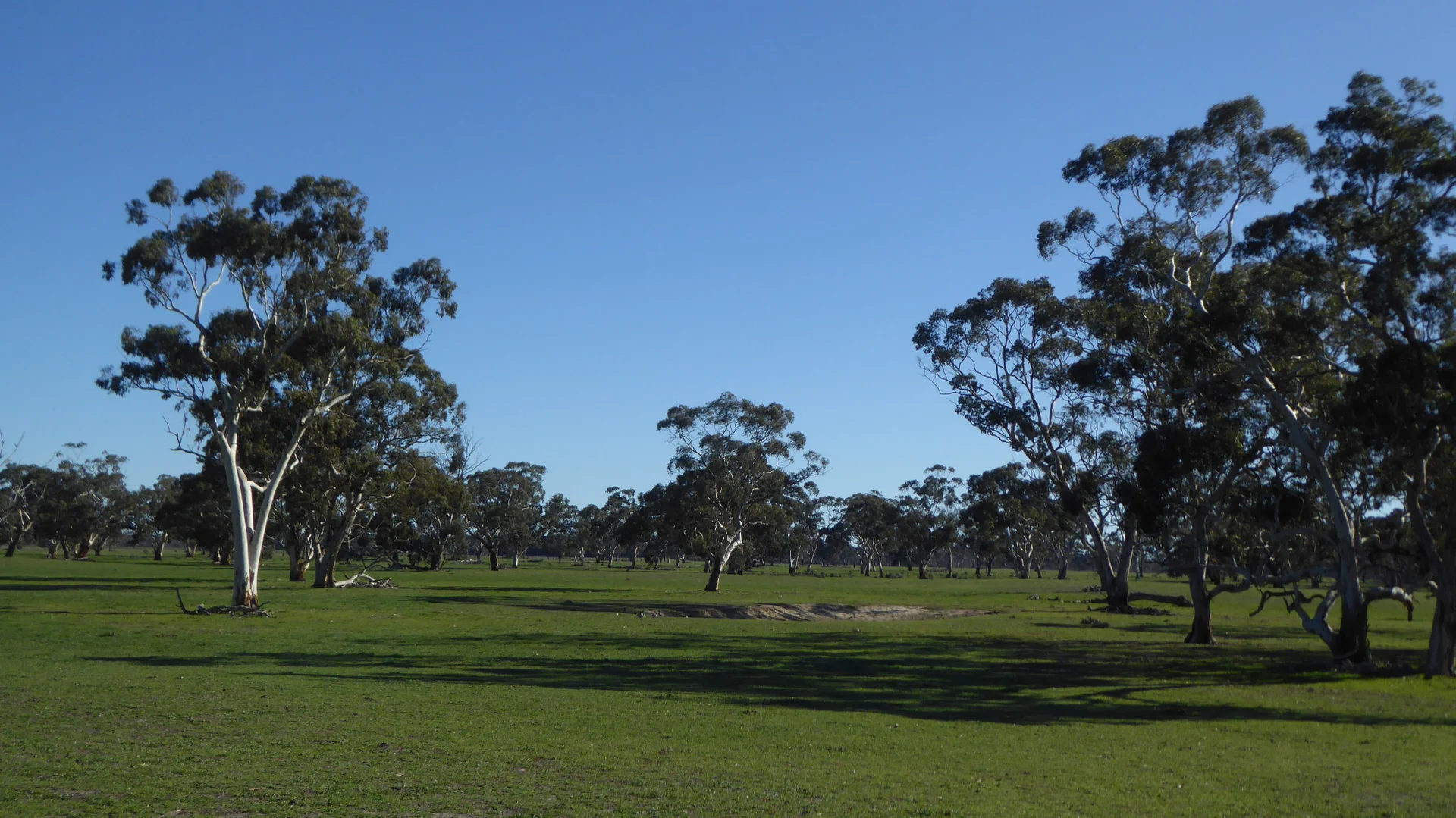 Additional image 11 of 2147 Bangham Road, Frances SA 5262