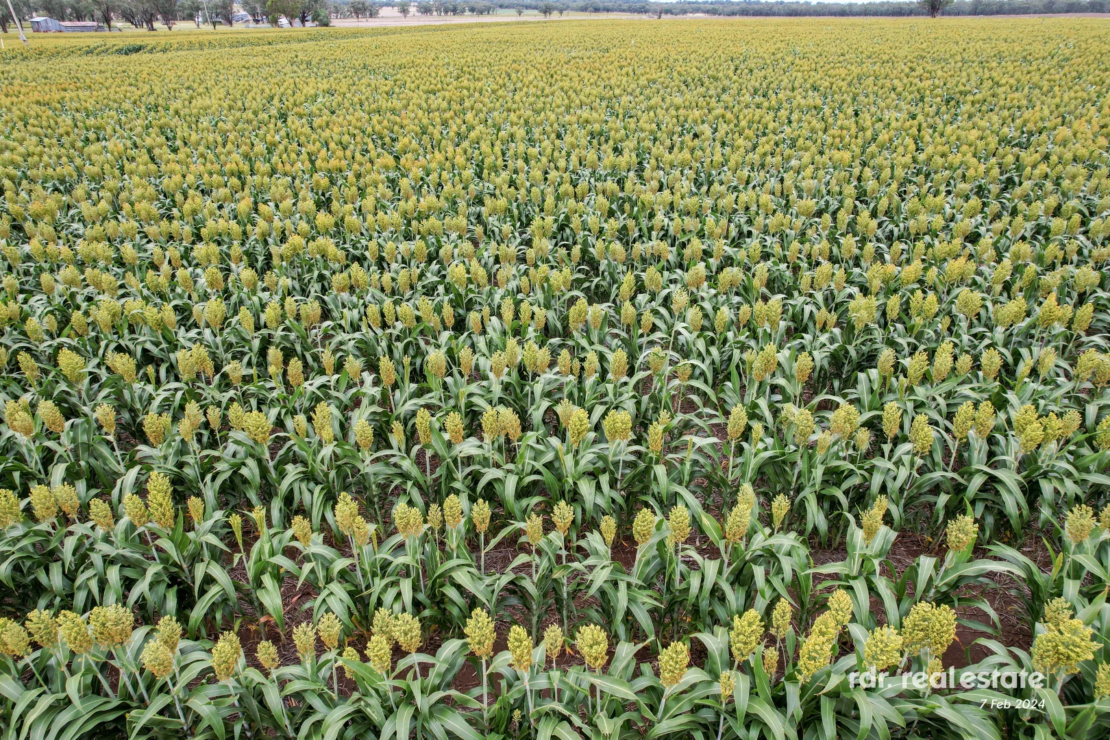 Additional image 24 of 137 Gragin Road, Delungra, Inverell NSW 2360