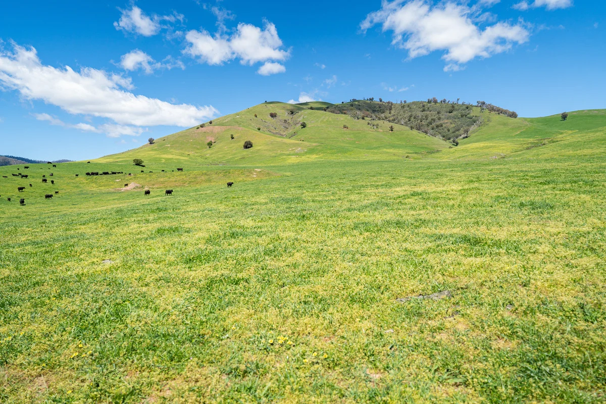 Additional image 17 of 3465 Murray Valley Highway, Berringama VIC 3691