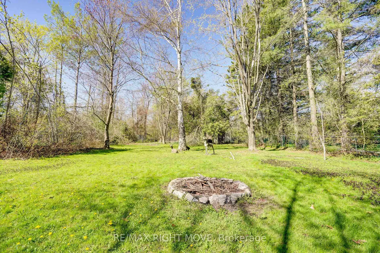 Additional image 15 of 439 Sundial Drive