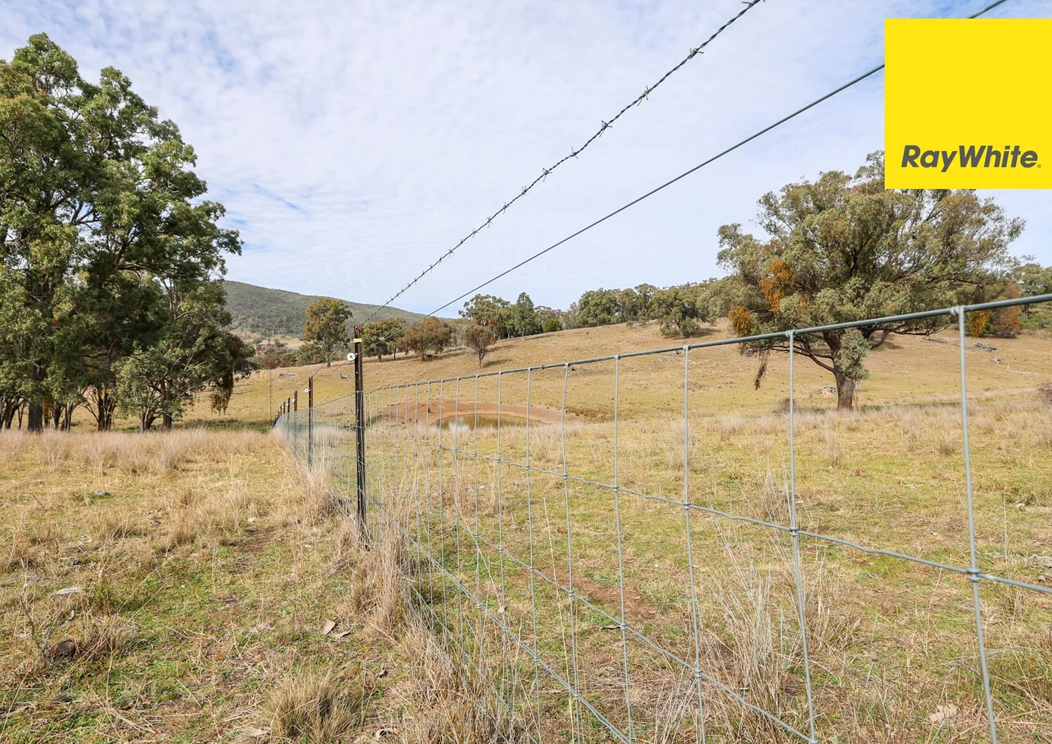 Additional image 26 of 'Bimbadeen' Dry Creek Road, Bundarra NSW 2359