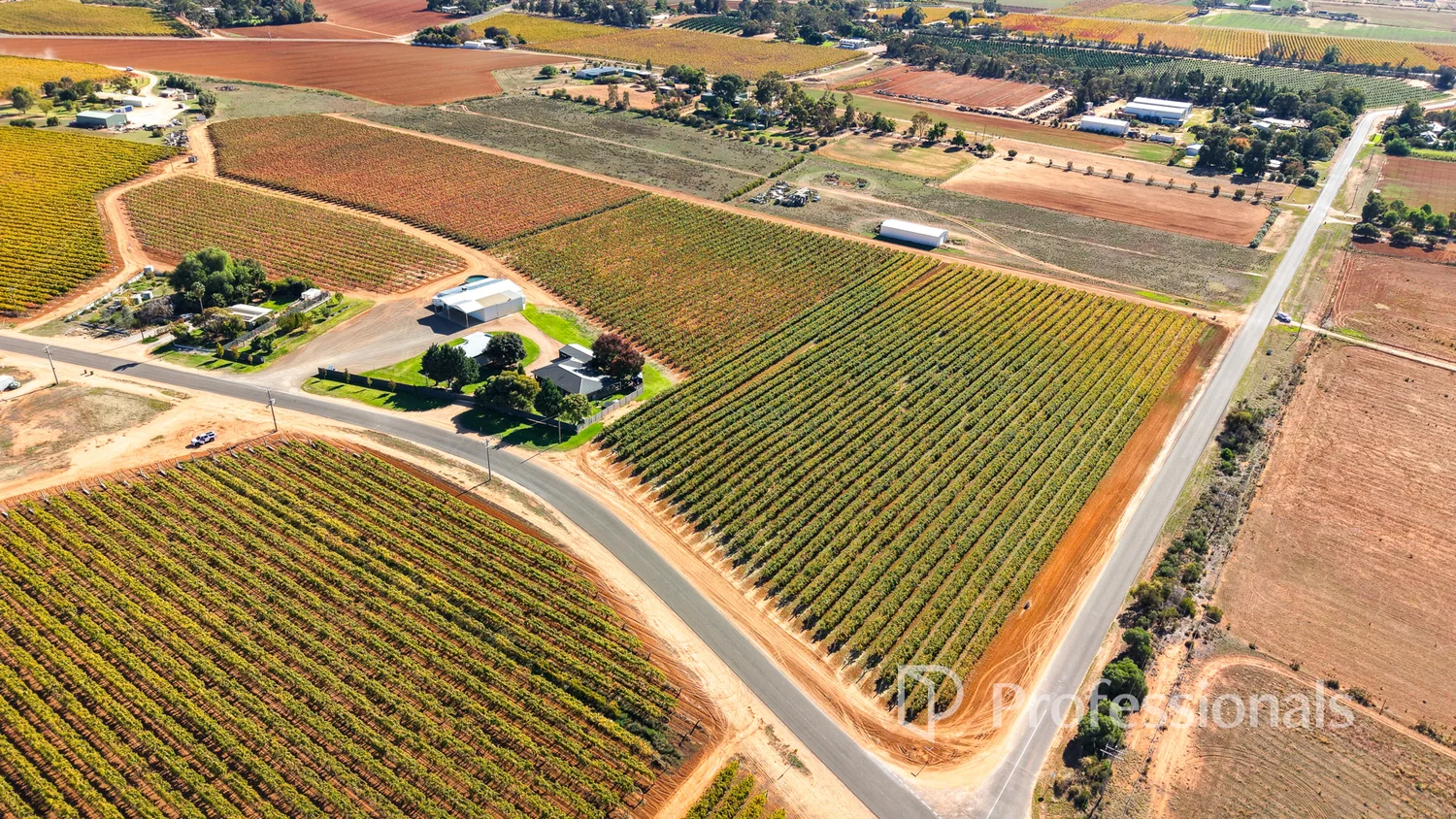 Additional image 4 of 225 Stewart Road, Red Cliffs VIC 3496