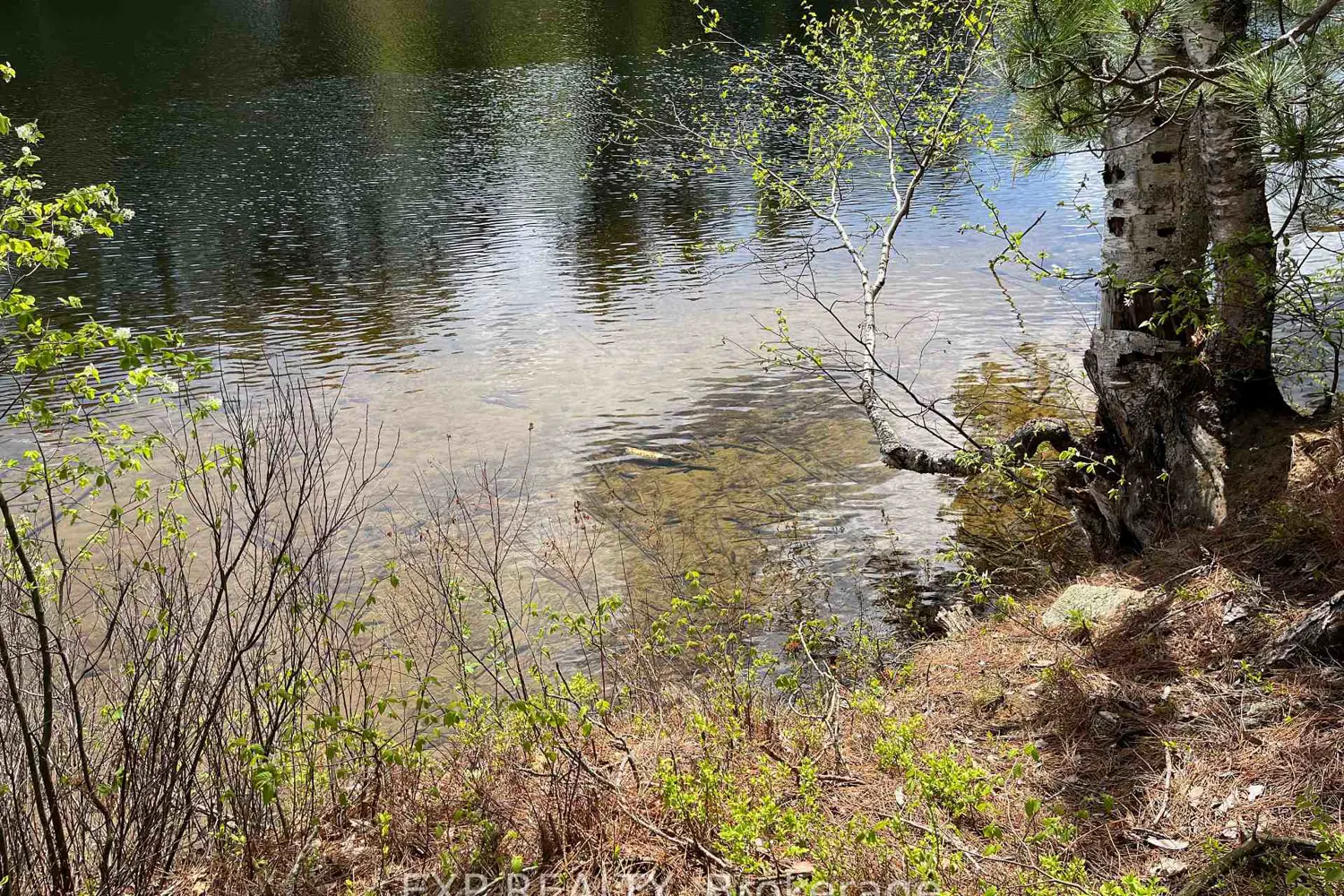 Additional image 2 of Lot 37 Sandy Shores Trail