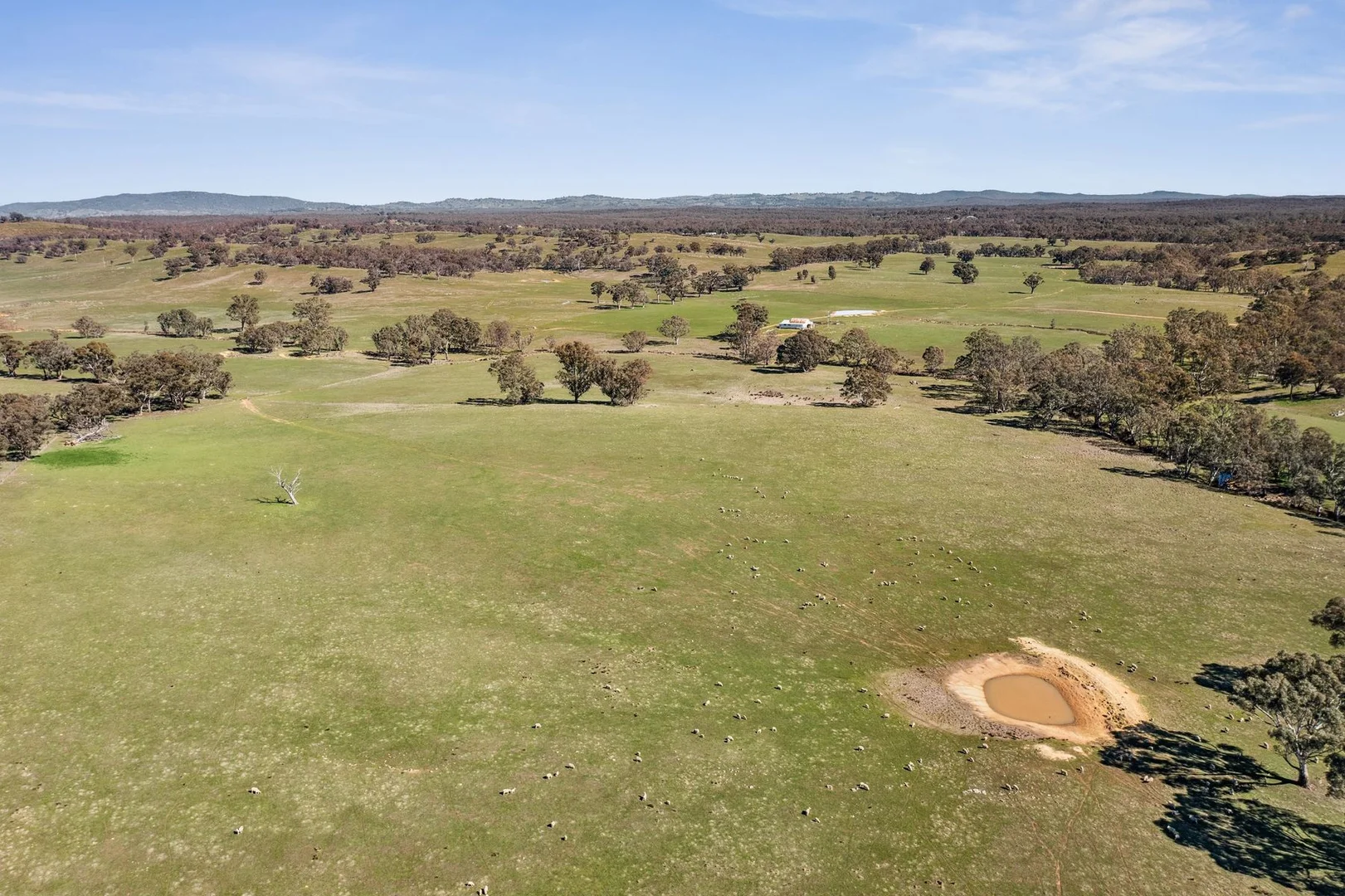 Additional image 3 of "Cairn Hill" Cnr Patons & Doles Road, Kimbolton VIC 3551