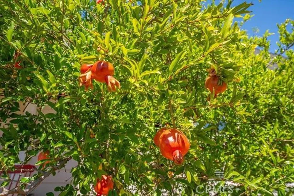 Additional image 64 of 15125 N Kobbuntie Court N, Red Bluff, CA 96080