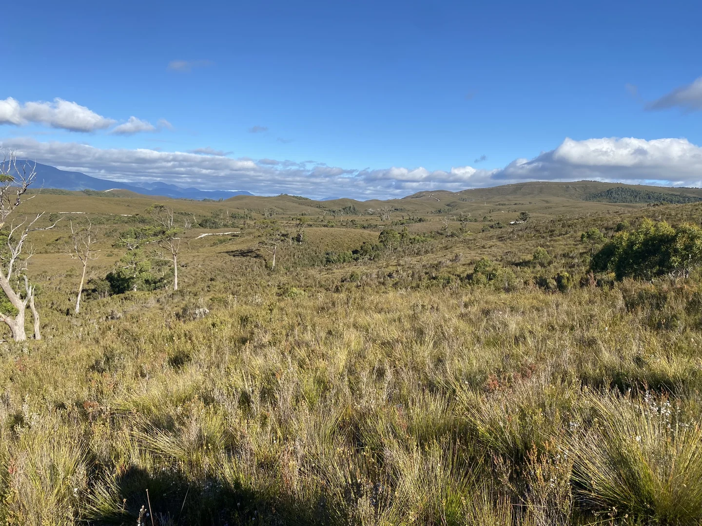 Additional image 8 of 499 Heemskirk Road, Zeehan TAS 7469