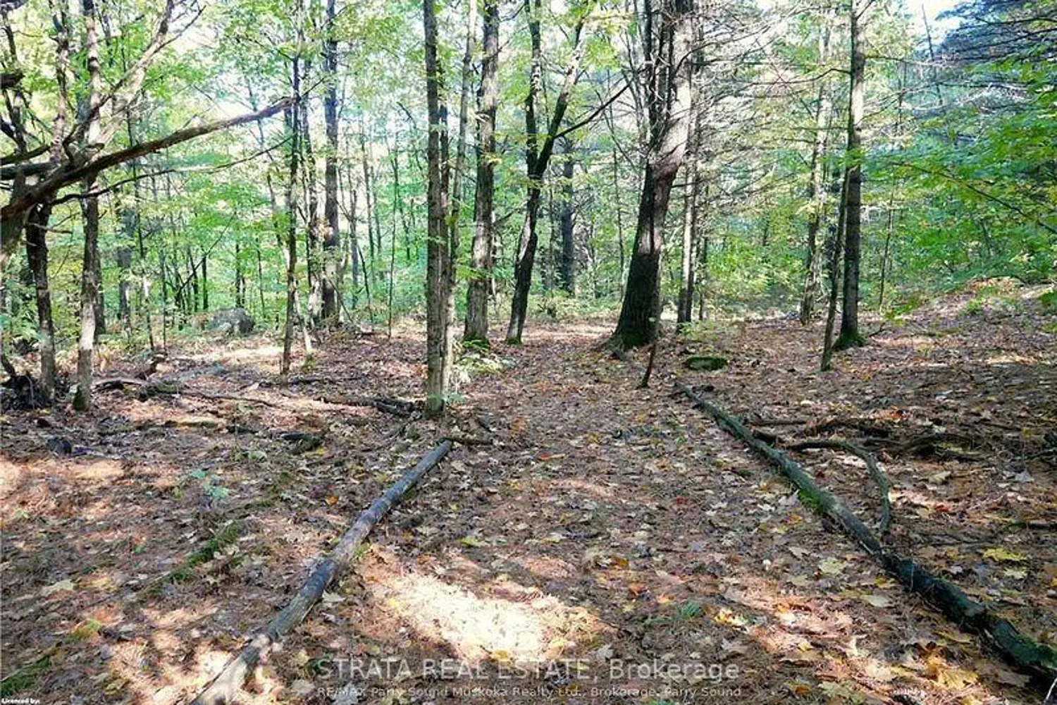 Additional image 8 of 0 518