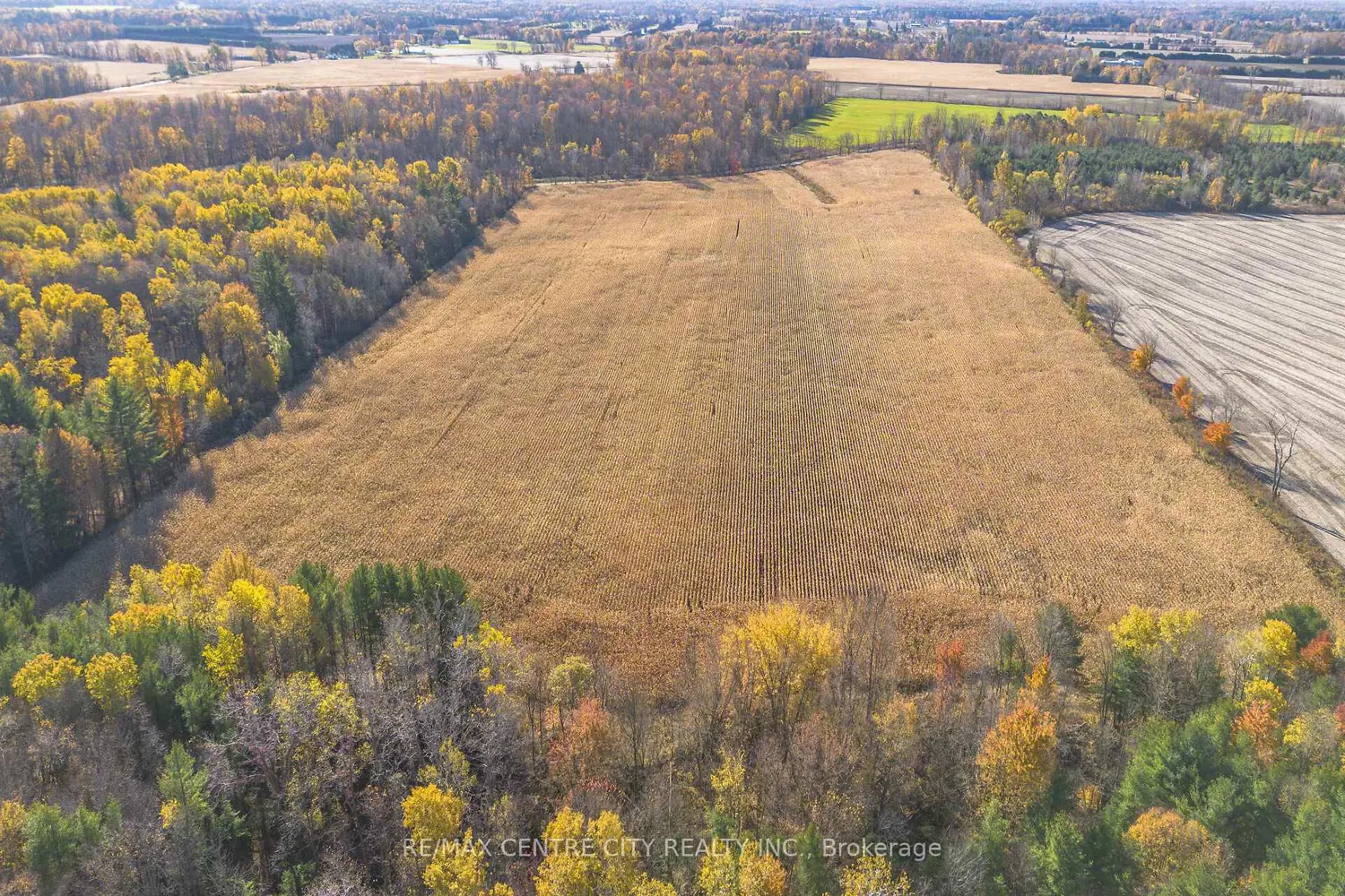 Additional image 19 of Pt Lt 140&141 Col Talbot Road