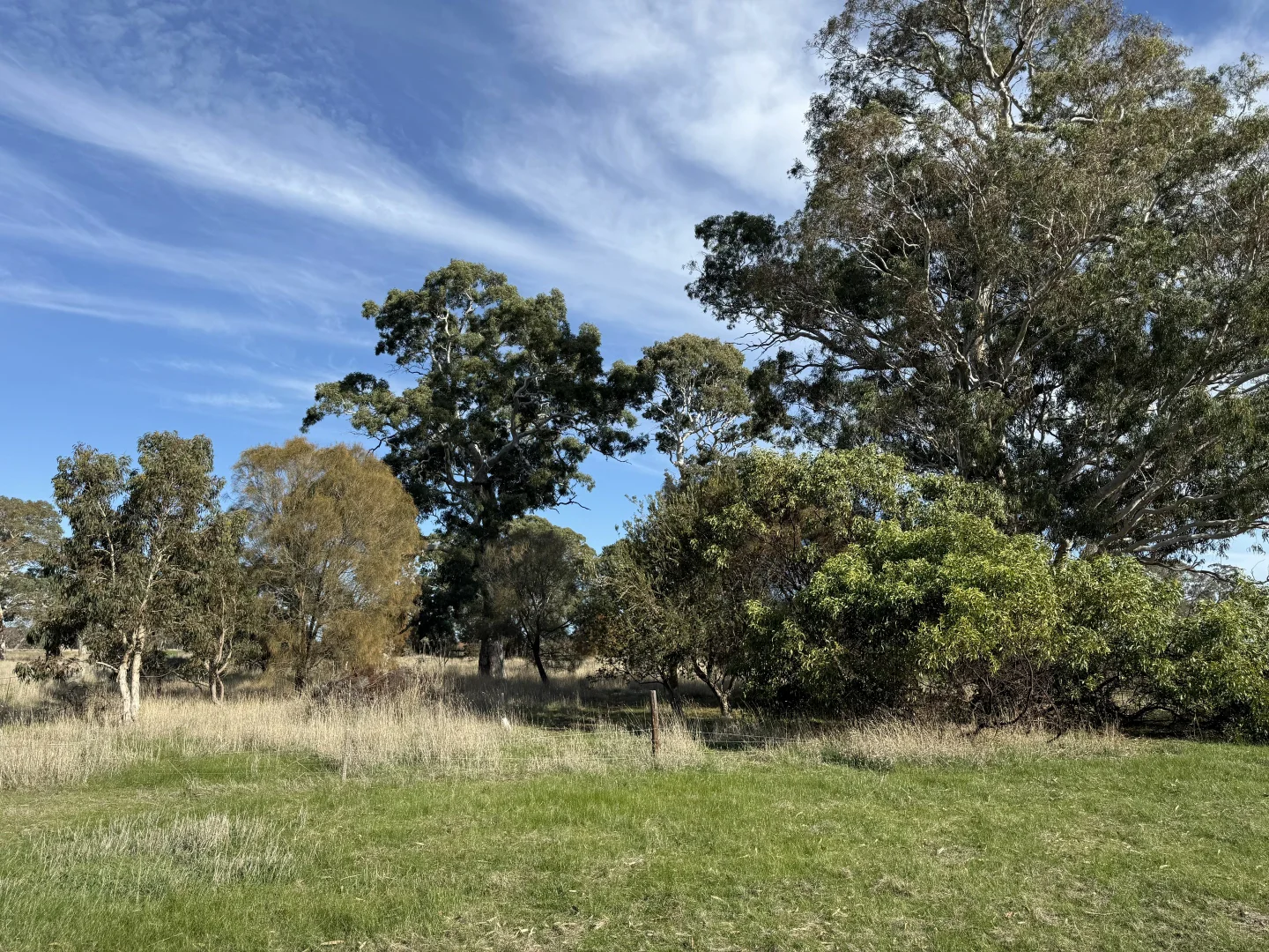 Additional image 8 of Lot 104 Dergholm Road, Penola SA 5277