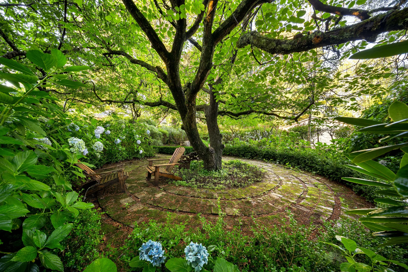 Additional image 18 of 179-181 Wentworth Street, Blackheath NSW 2785