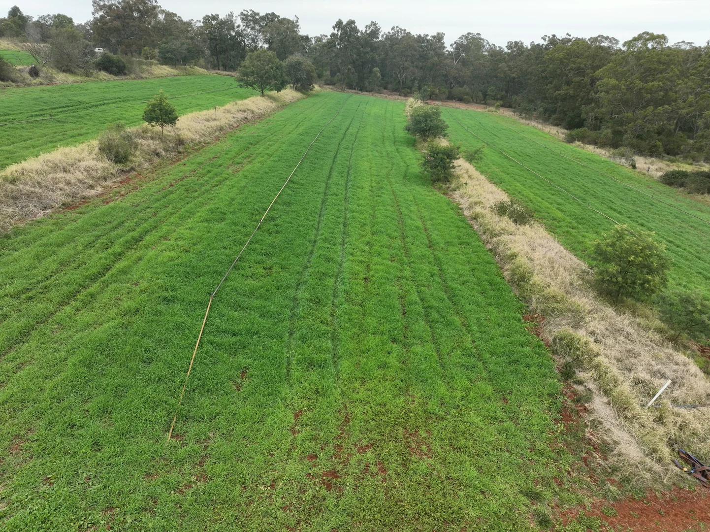 Additional image 4 of 34 Bellottis Road, Oakdale QLD 4605