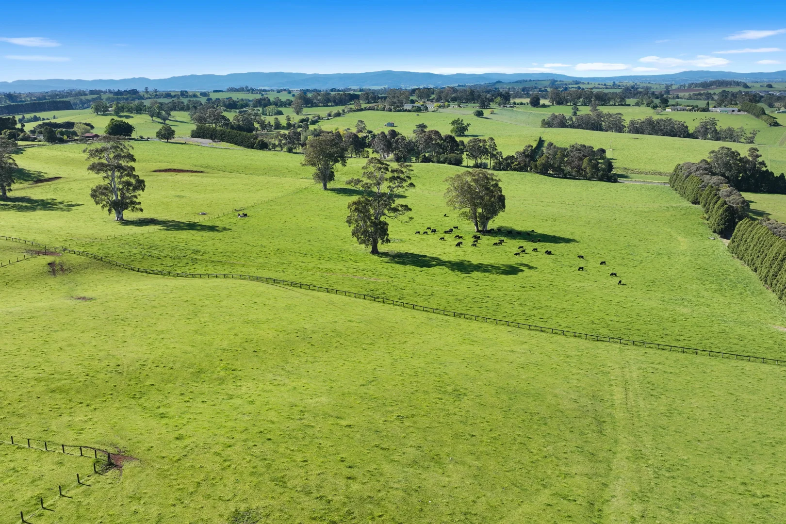 Additional image 31 of 935 Lardners Track, Warragul VIC 3820