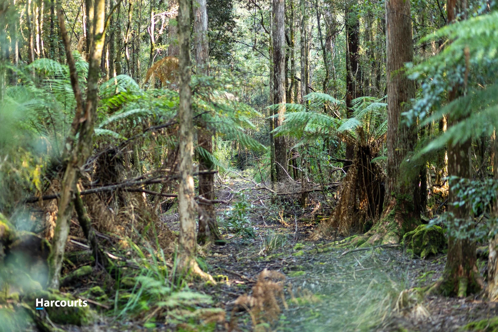Additional image 24 of 170 Cockle Creek Road, Recherche TAS 7109
