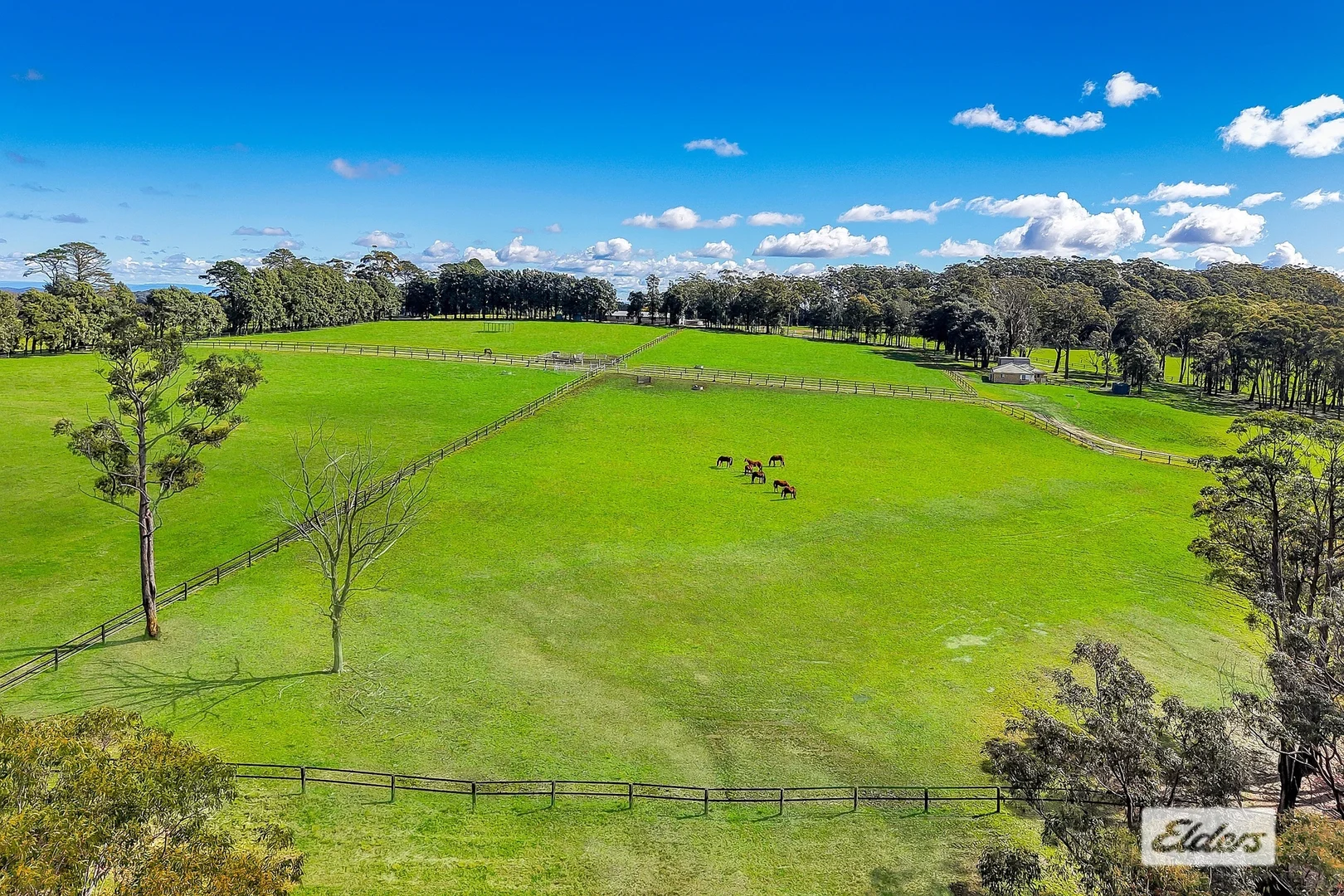 Additional image 12 of 271 Williams Road, Kulnura NSW 2250