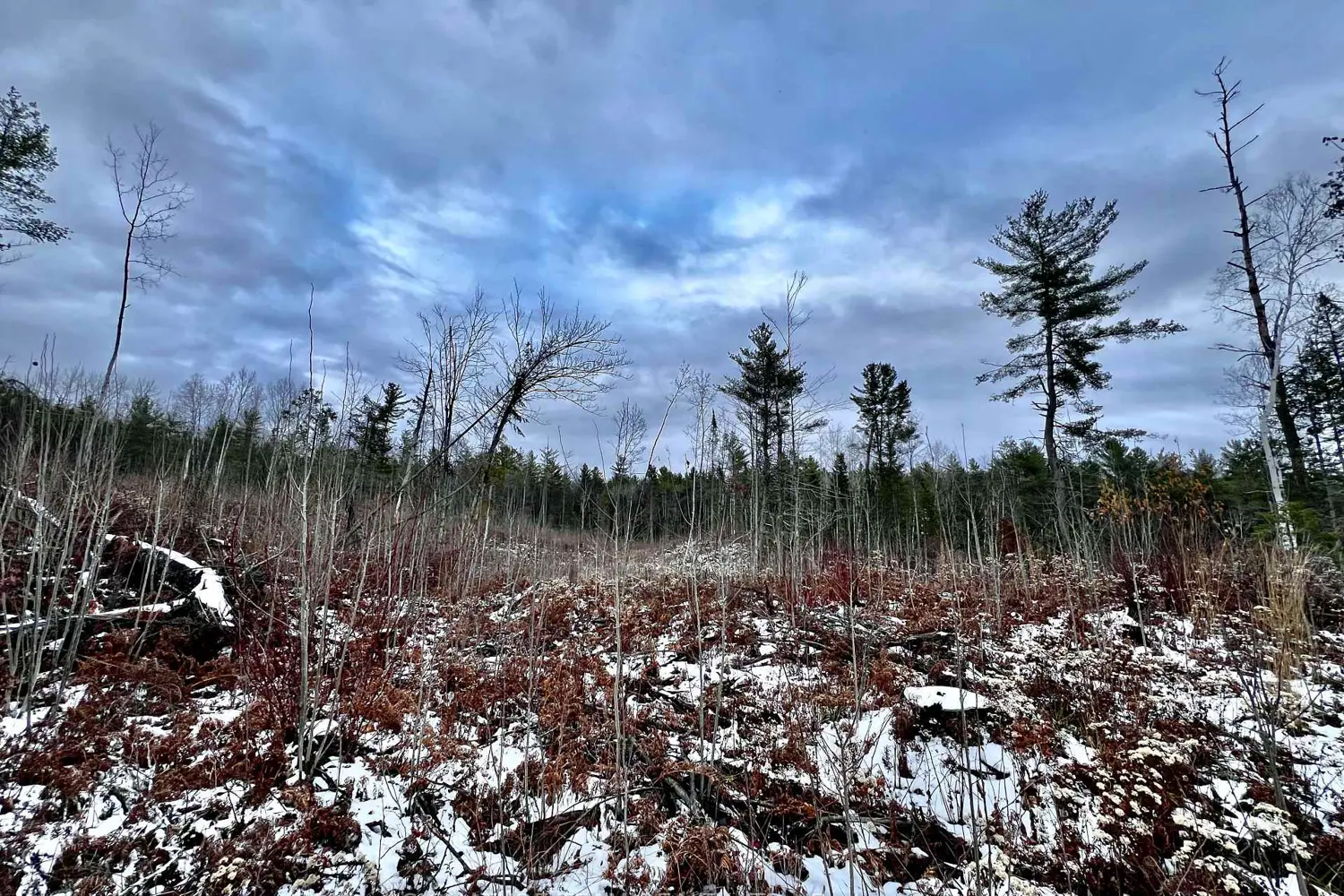 Additional image 6 of 744 Black Creek Road