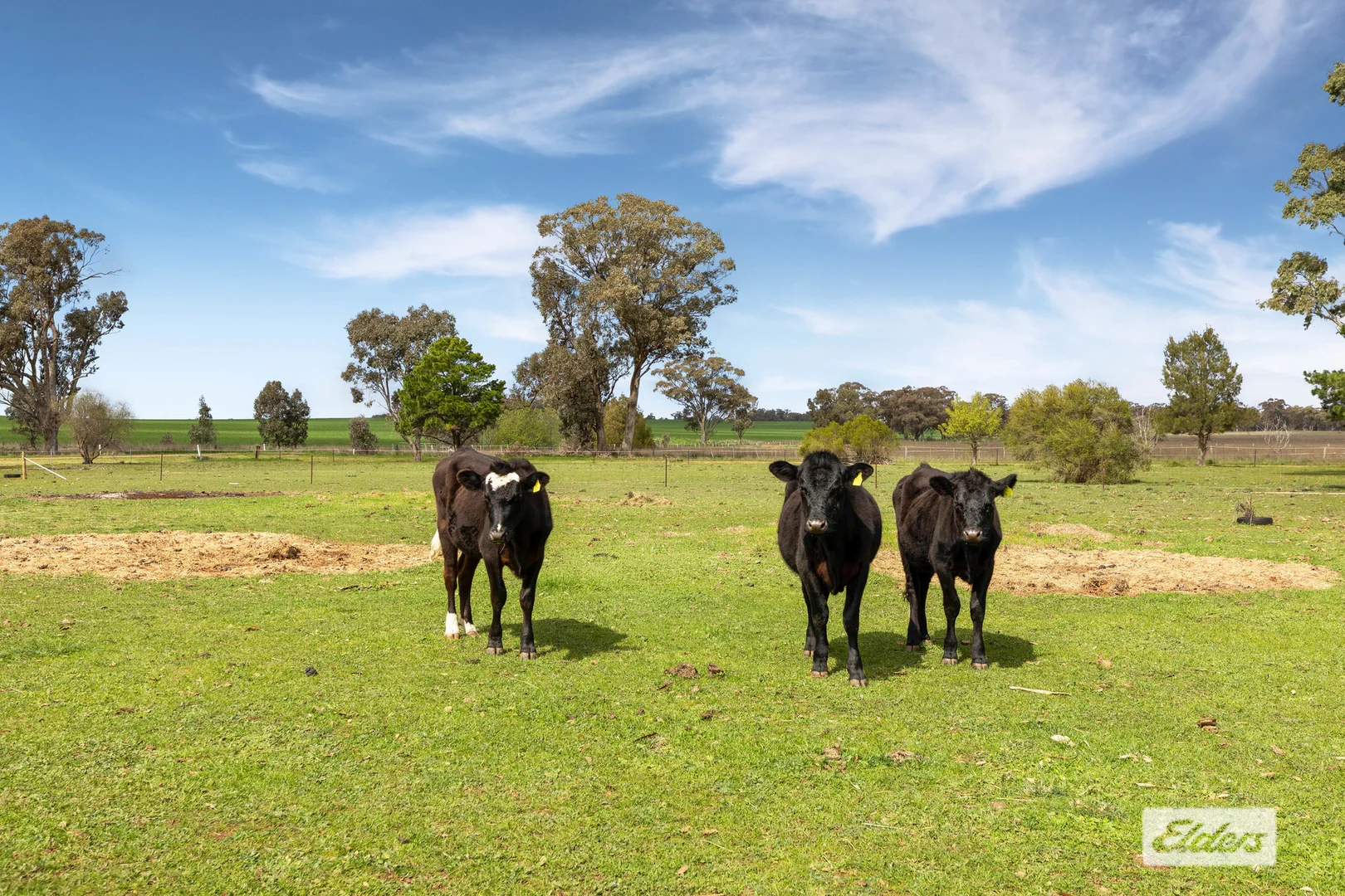 Additional image 6 of 1 Toomy Road, Marong VIC 3515