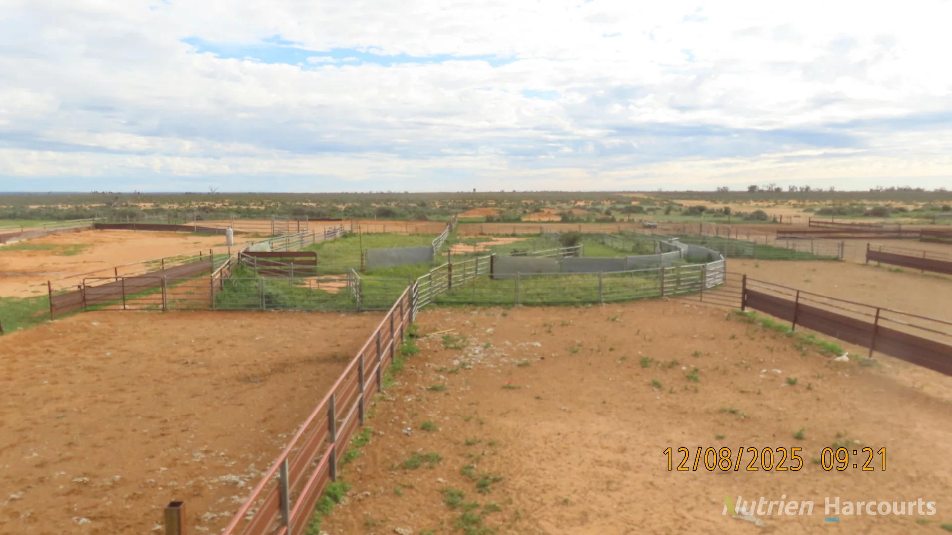 Additional image 18 of * Magenta Aggregation, Balranald NSW 2715