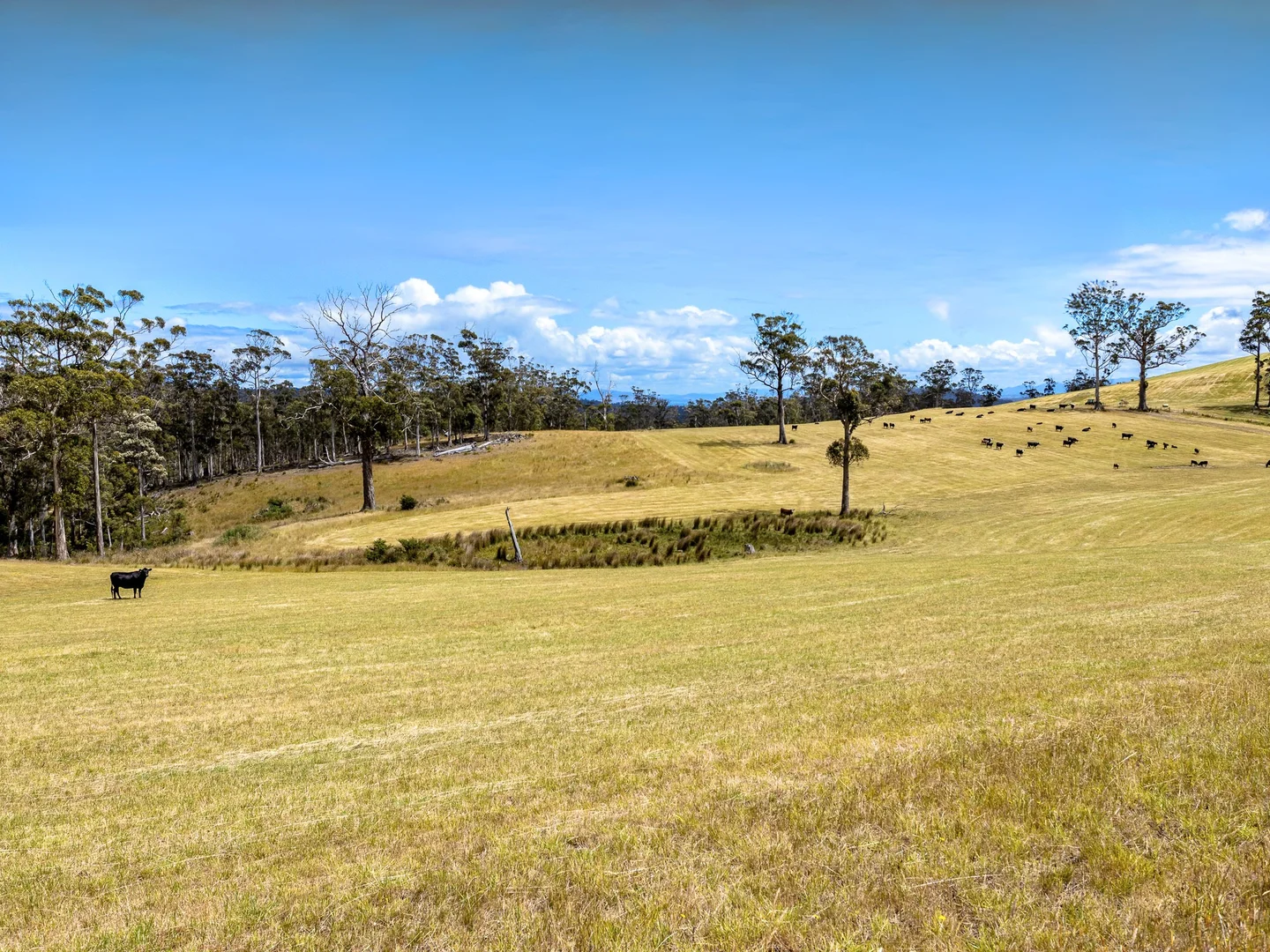 Additional image 2 of "Hurdle Road" 475 Saltwater River Road, Saltwater River TAS 7186