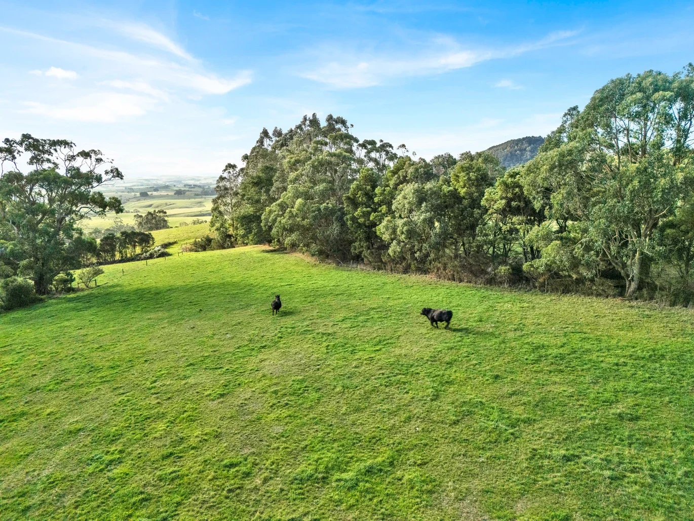 Additional image 29 of 2160 Meeniyan -Promontory Rd, Fish Creek VIC 3959