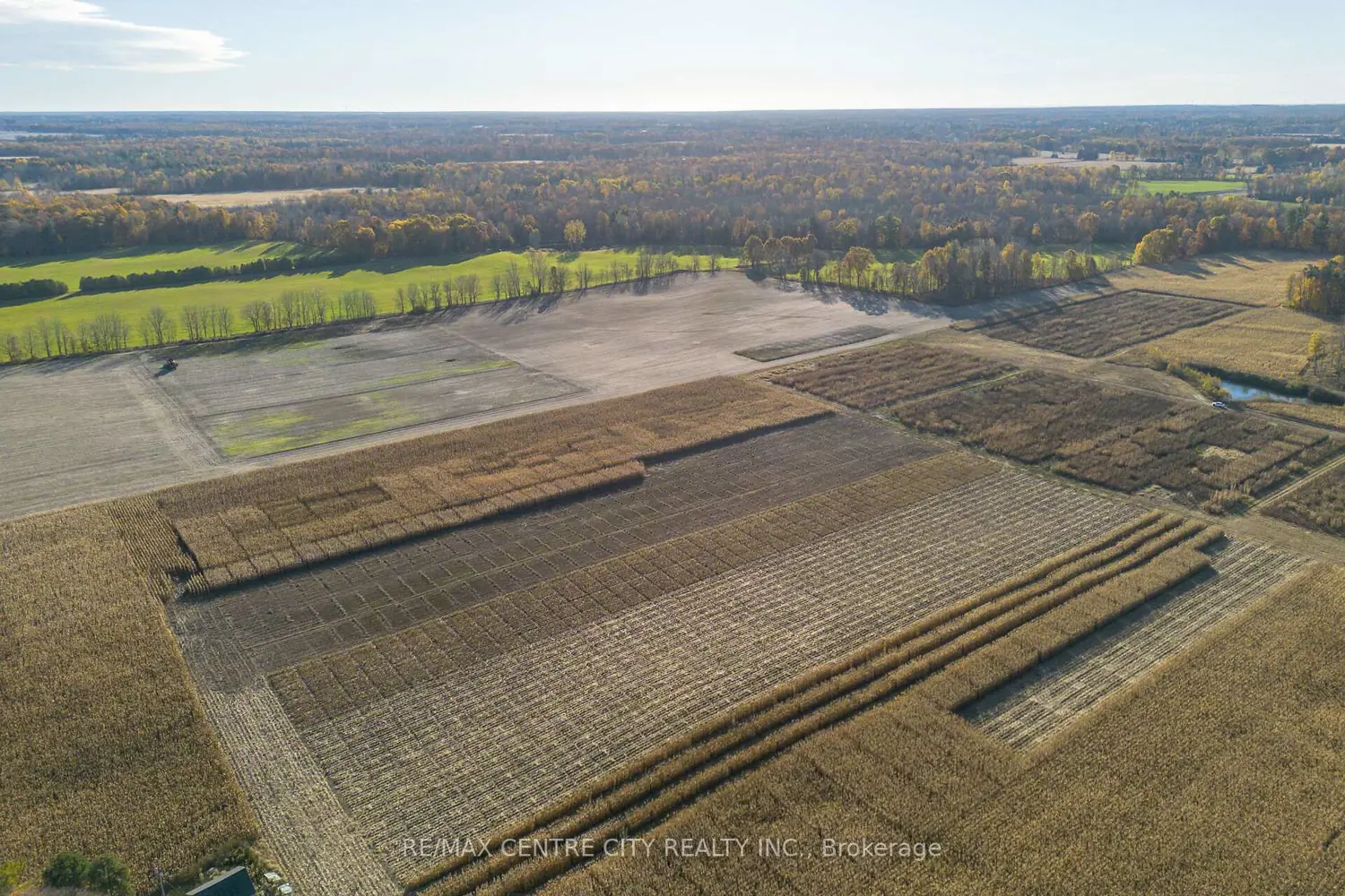 Additional image 6 of 8916 Coyle Road