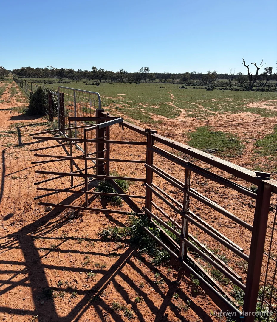 Additional image 42 of * Magenta Aggregation, Balranald NSW 2715