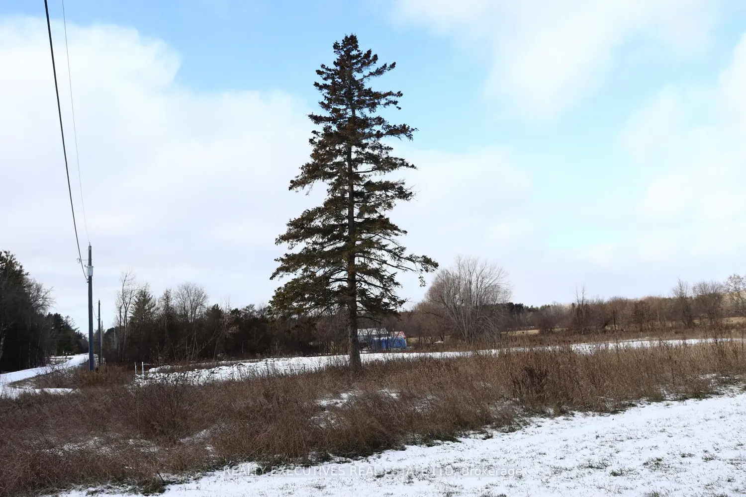 Additional image 6 of 10569 Loughlin Ridge Road