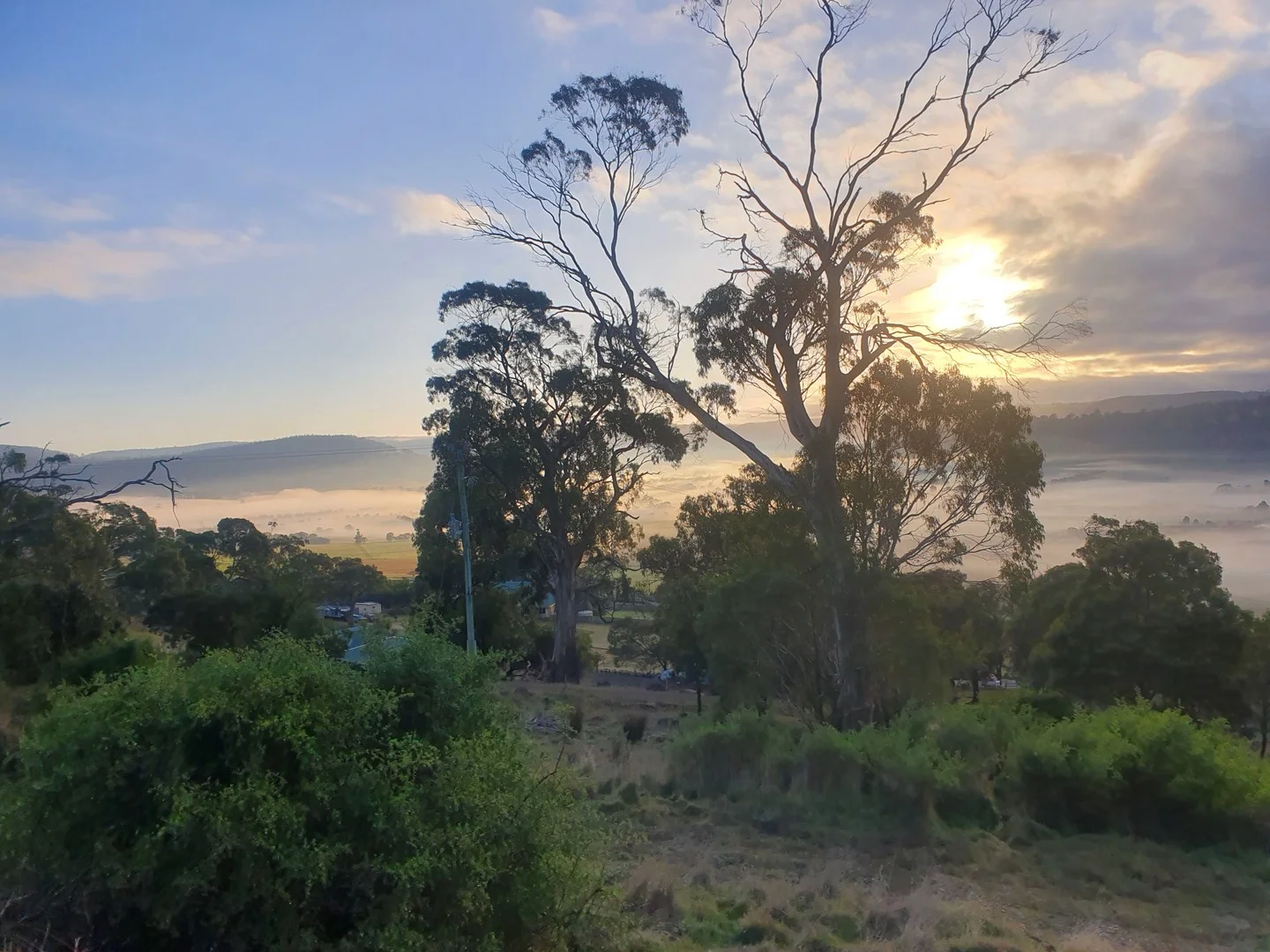 19 Jeannie Drive, Sorell TAS 7172