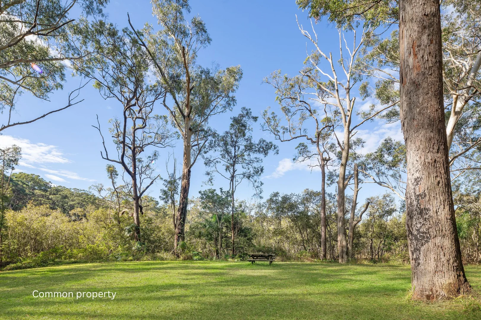 Additional image 9 of 1/539 Pacific Highway, Boambee NSW 2450