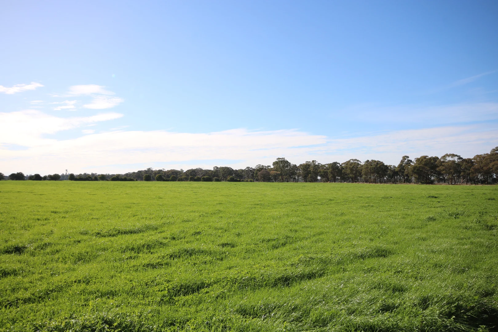 Additional image 4 of 25 Trewicks Road, Elmore VIC 3558