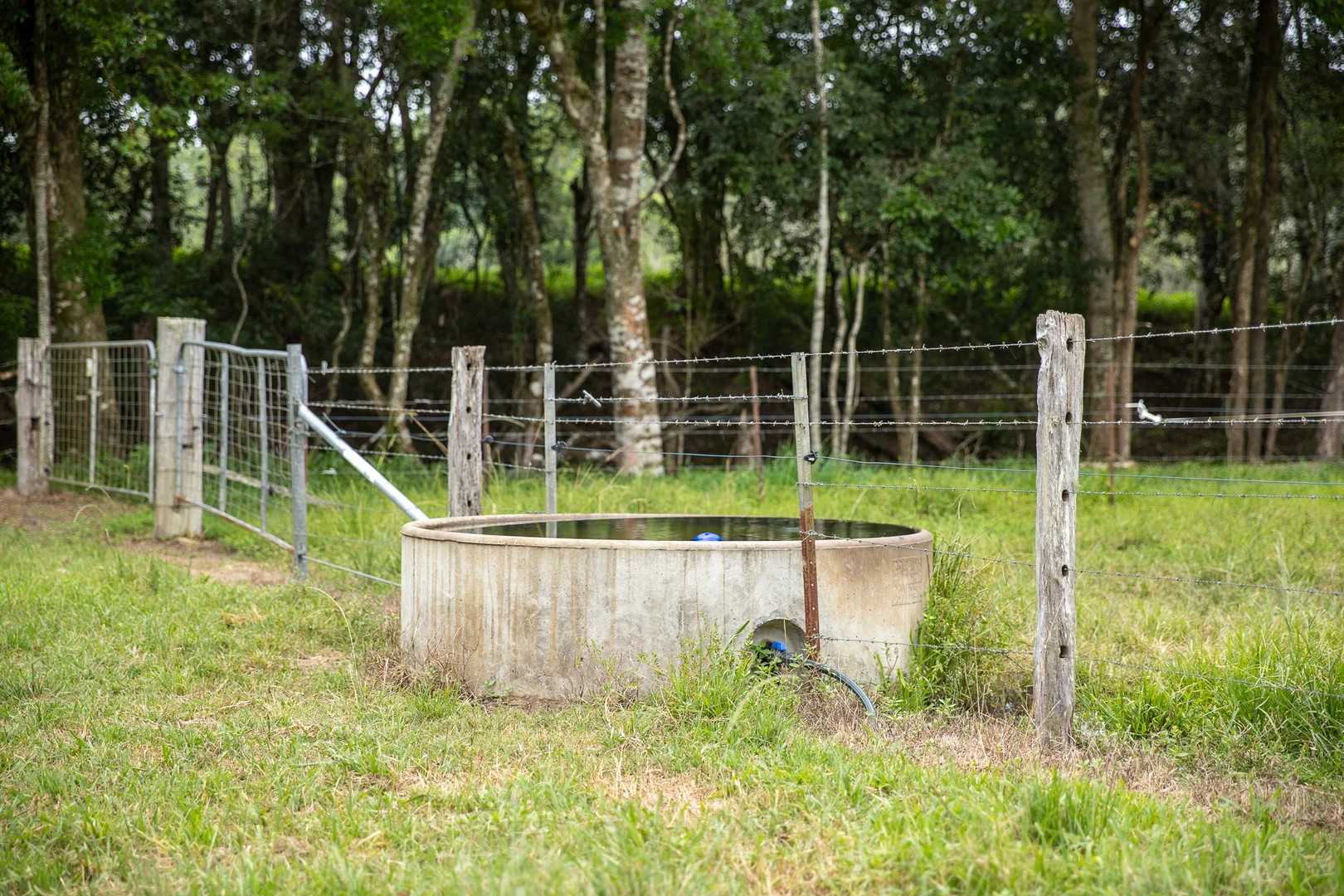 Additional image 29 of 300 Martells Road, Bellingen NSW 2454