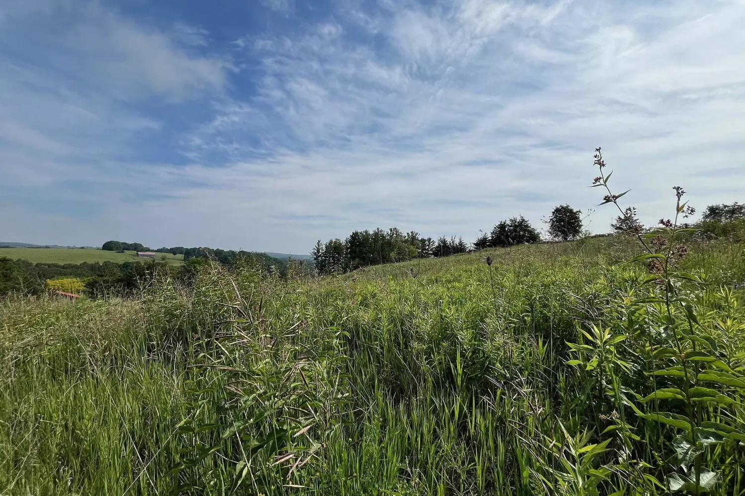 Additional image 3 of 4836 45 Highway Lot 3