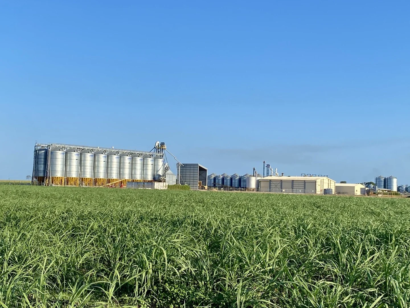 20 Colevale Road, Brandon QLD 4808