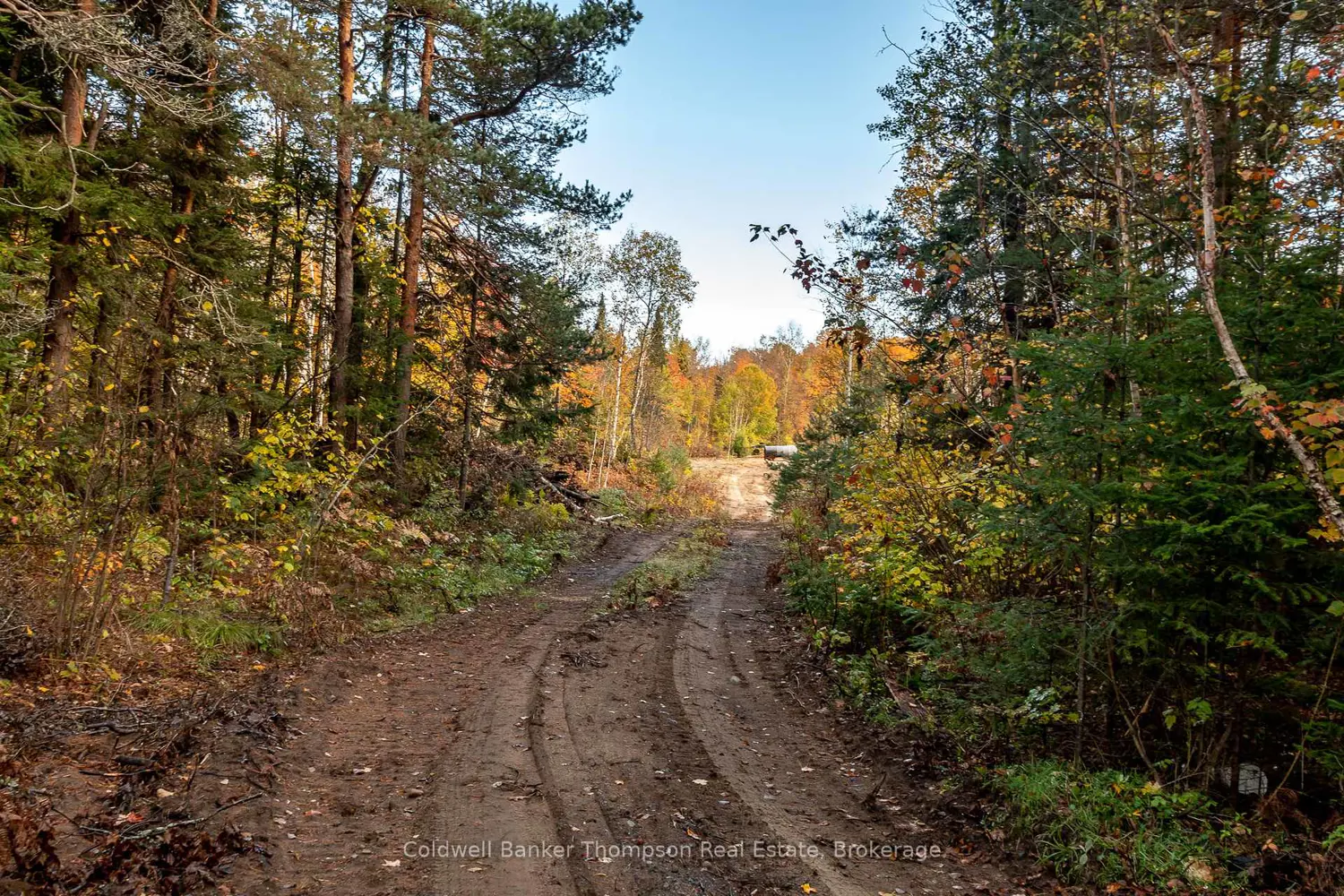 Additional image 6 of Lot 1 Emsdale Lake Road