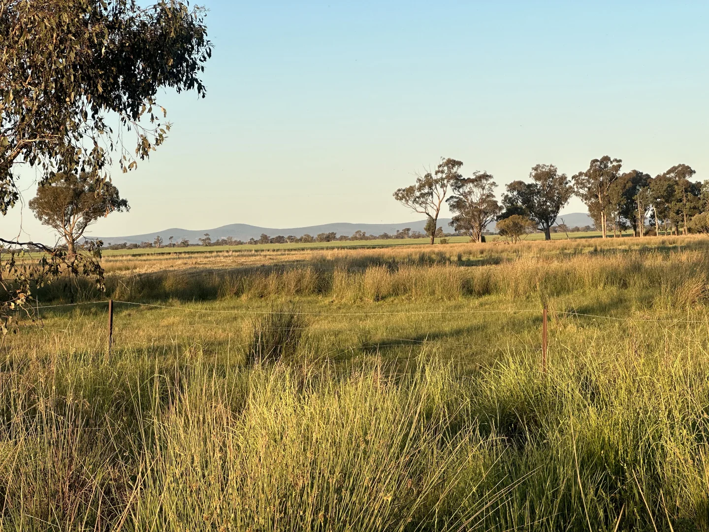 Additional image 7 of Lot 133 Troths Lane, Quandialla NSW 2721