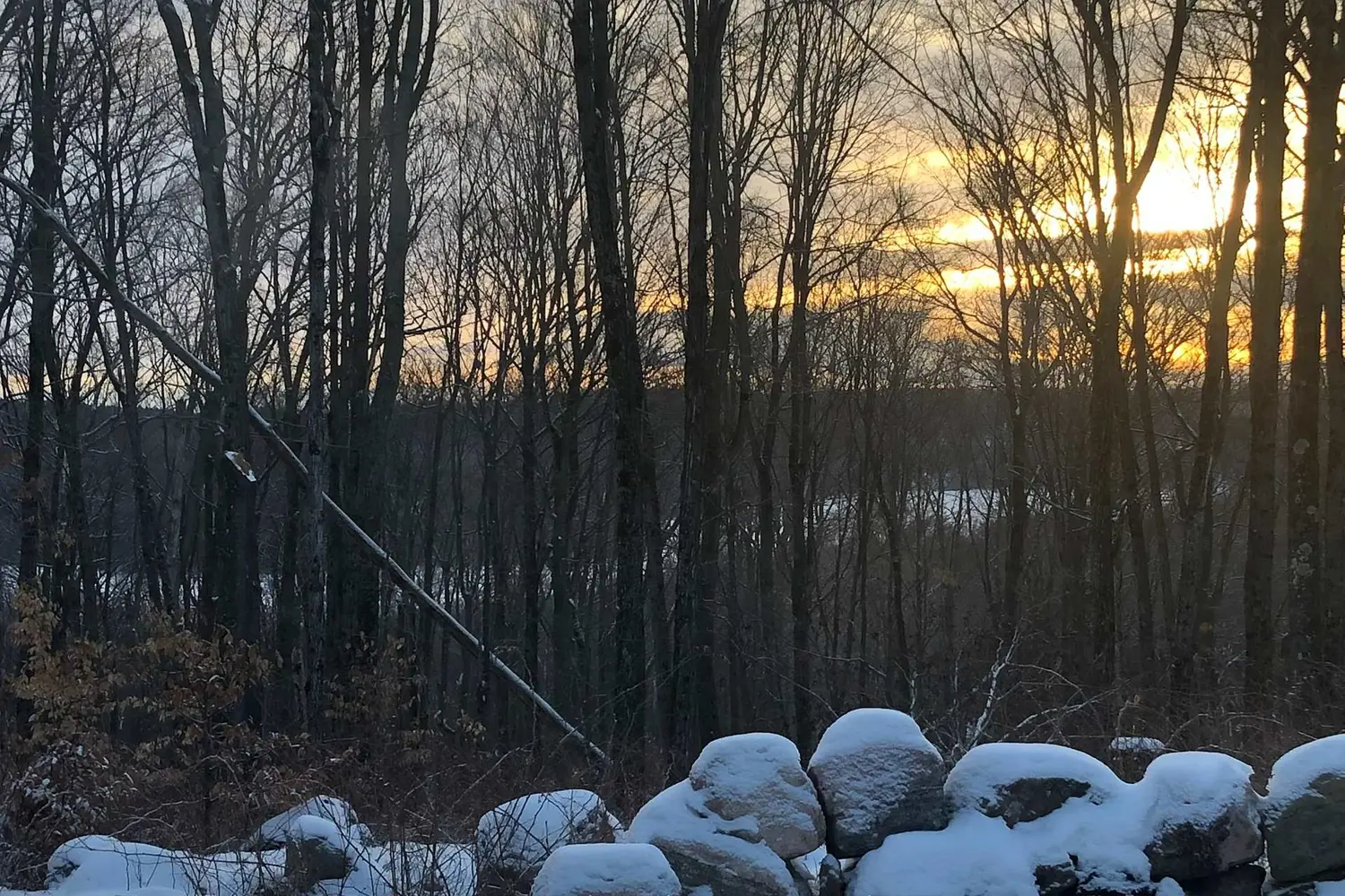 Additional image 9 of 00 Ross Trail