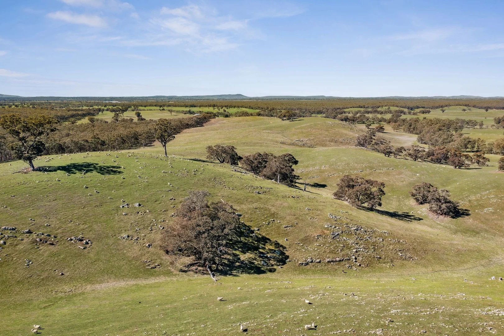 Additional image 16 of "Cairn Hill" Cnr Patons & Doles Road, Kimbolton VIC 3551