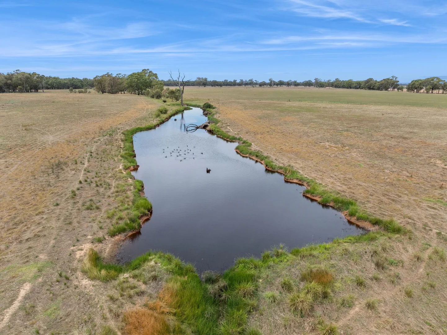 Additional image 5 of Cnr of Fitzpatricks & Rothackers Road, Woodvale VIC 3556