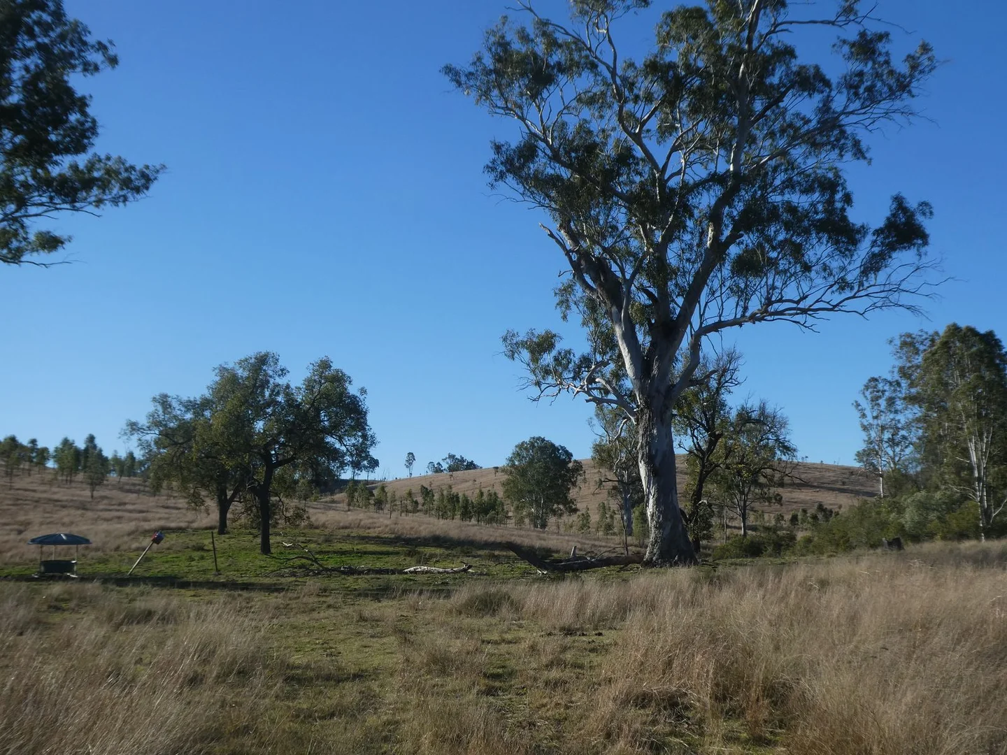 Additional image 31 of 4 Lots/NRN Monto Mount Perry Road, Mungy QLD 4671