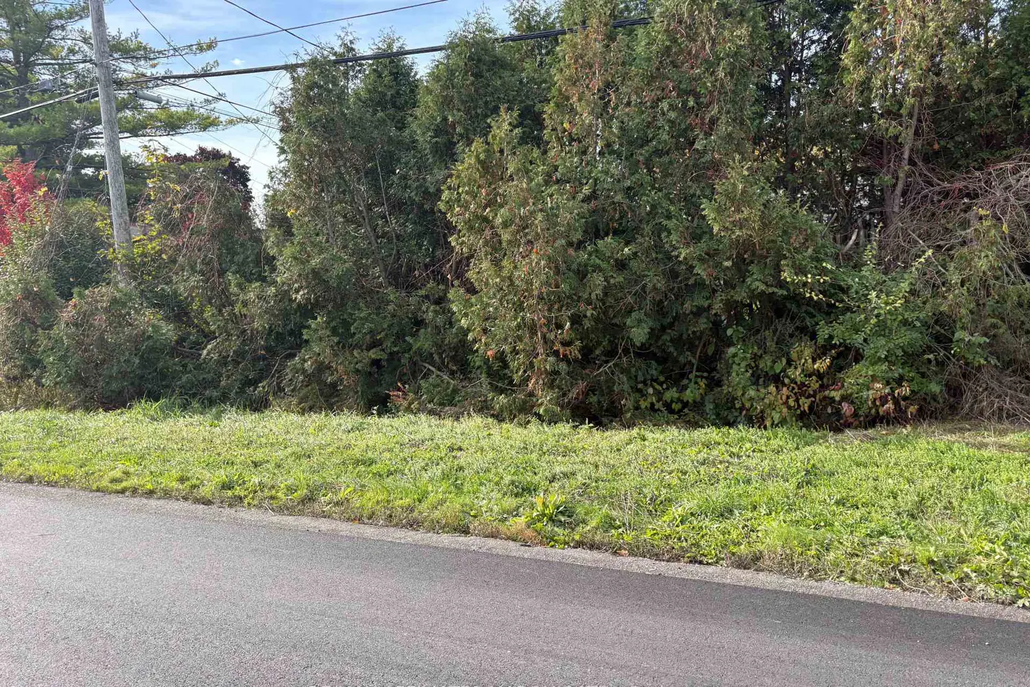 Additional image 3 of 5361 Woodland Drive