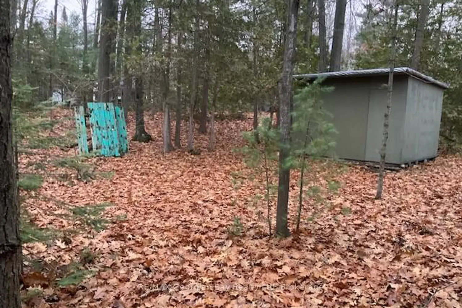 Additional image 3 of 46 Oakwood Avenue