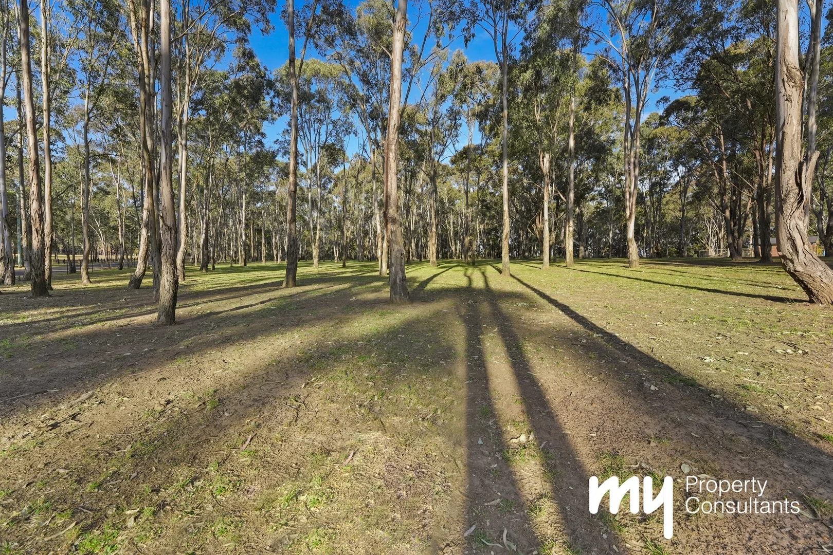 Additional image 23 of 4 Top Ridge Road, Razorback NSW 2571