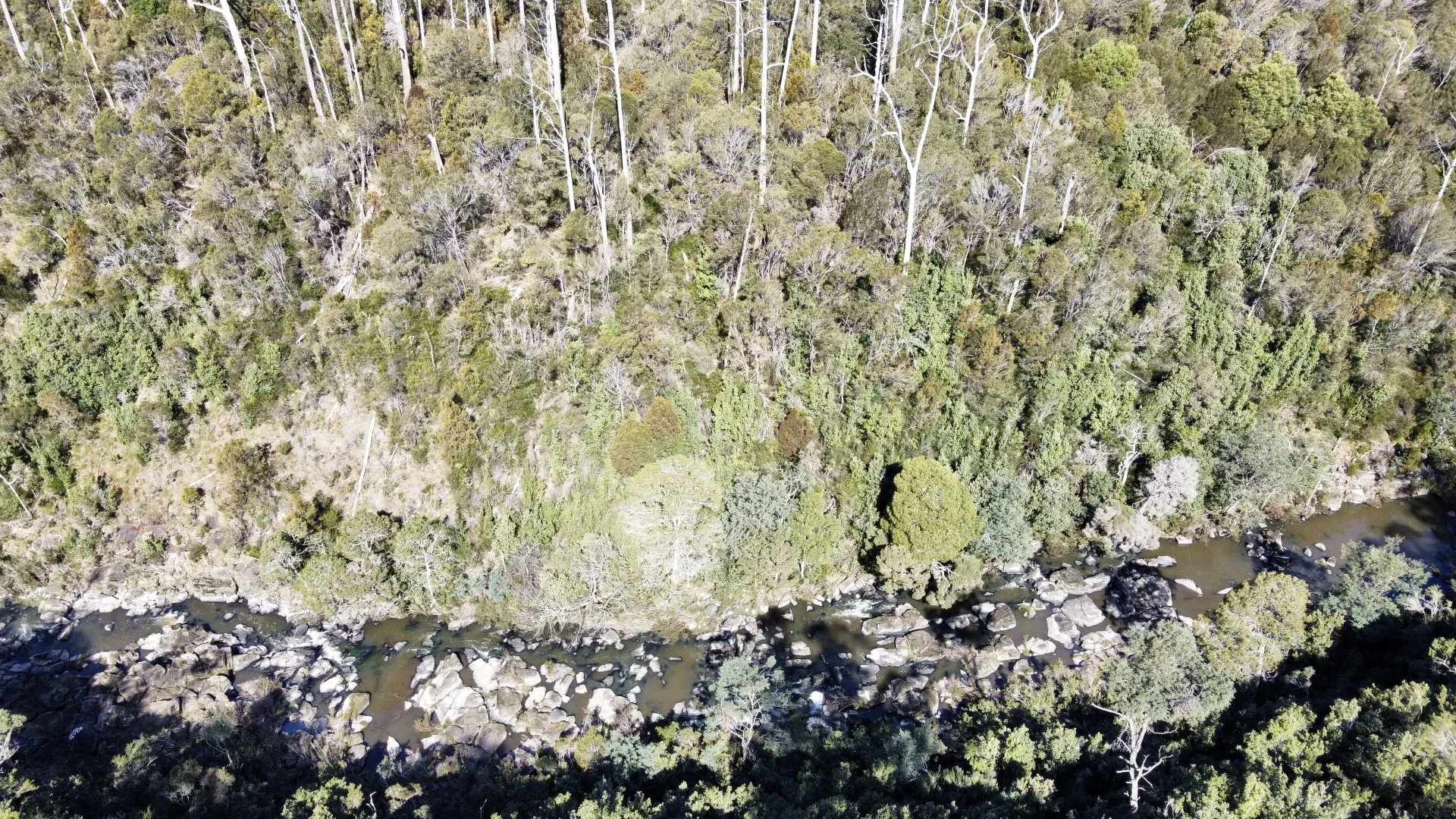 Additional image 5 of 2/275 Smith And Others Road, Sassafras TAS 7307