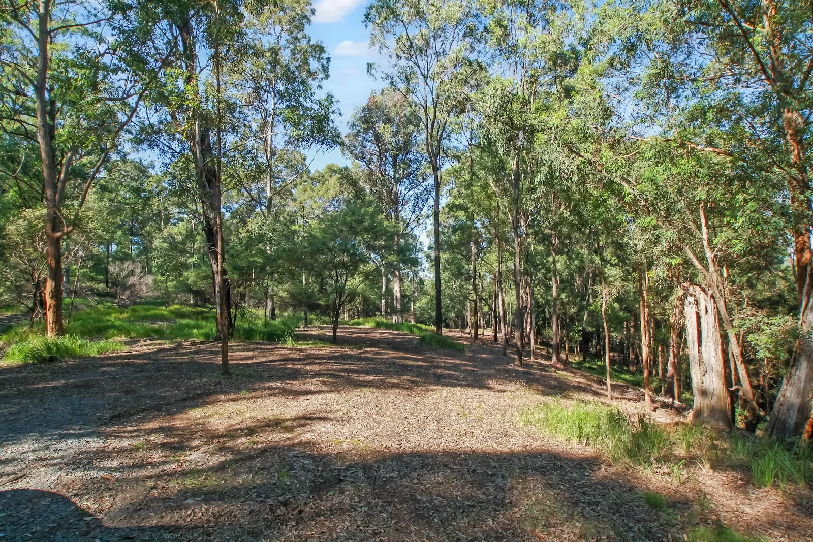 Additional image 13 of 94 Holyrood Road, Maudsland QLD 4210