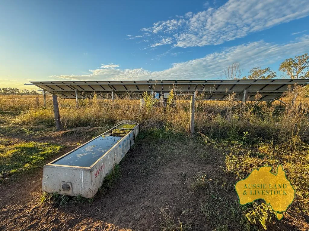 Additional image 11 of 8 SCREENING PLANT ROAD, Cynthia QLD 4627