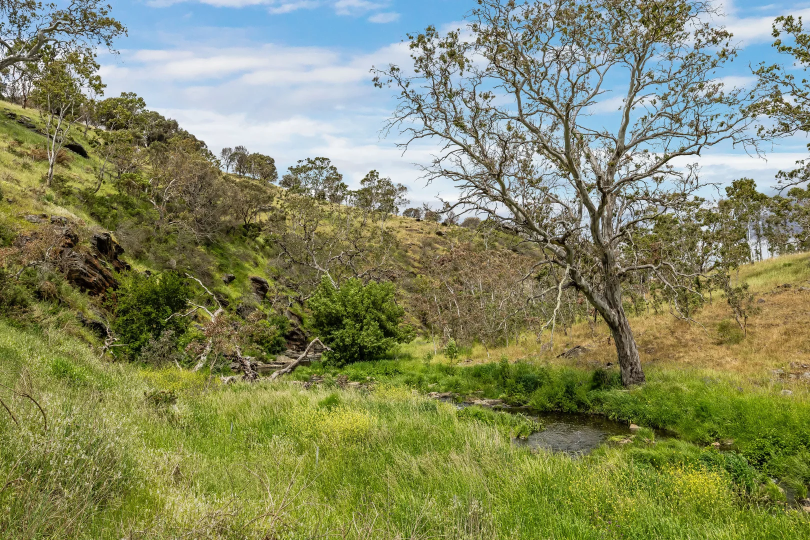 Additional image 31 of 83 Spring Lane, Mount Barker Springs SA 5251