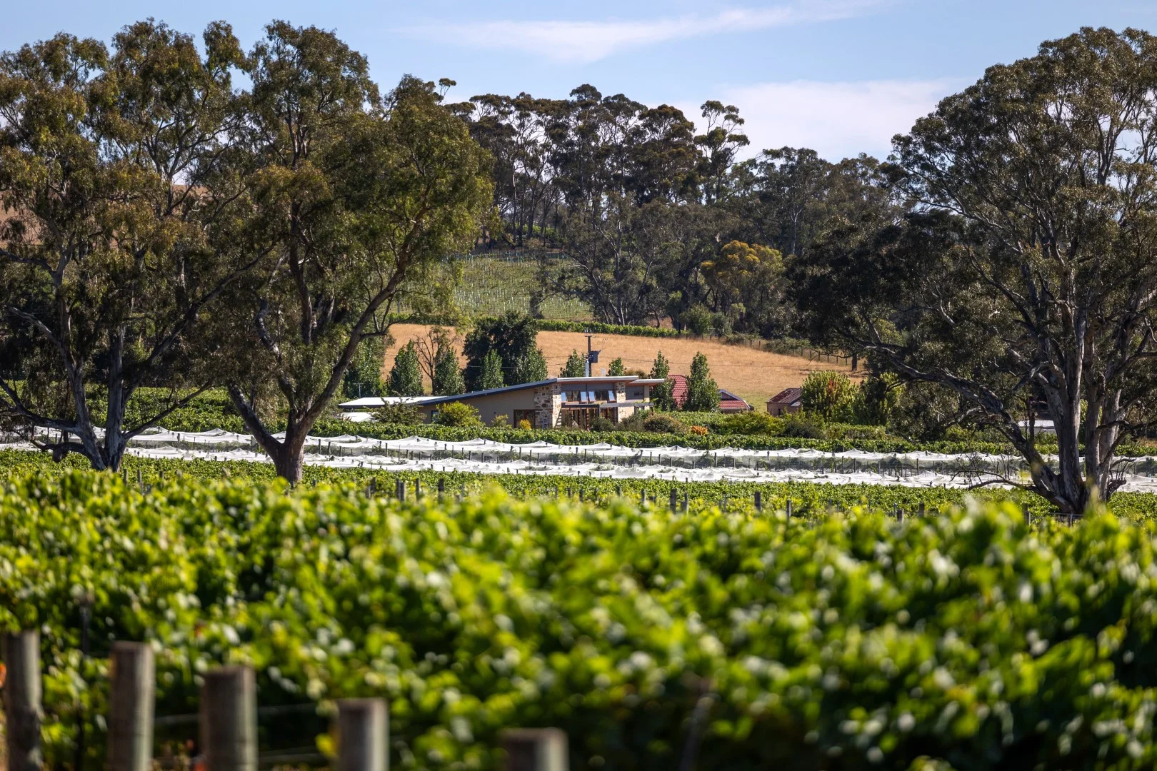 Additional image 2 of 162 Jungfer Road, Charleston SA 5244